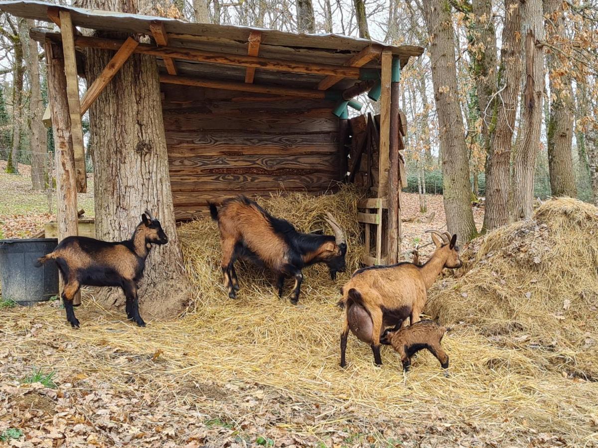 Willa L Occitane Gimont Zewnętrze zdjęcie